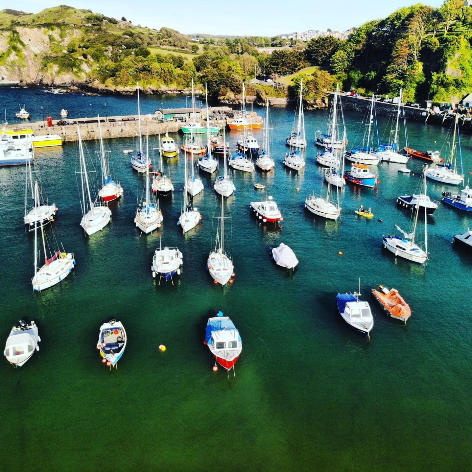 The Harbour Lights Bed and Breakfast Ilfracombe Eksteriør billede